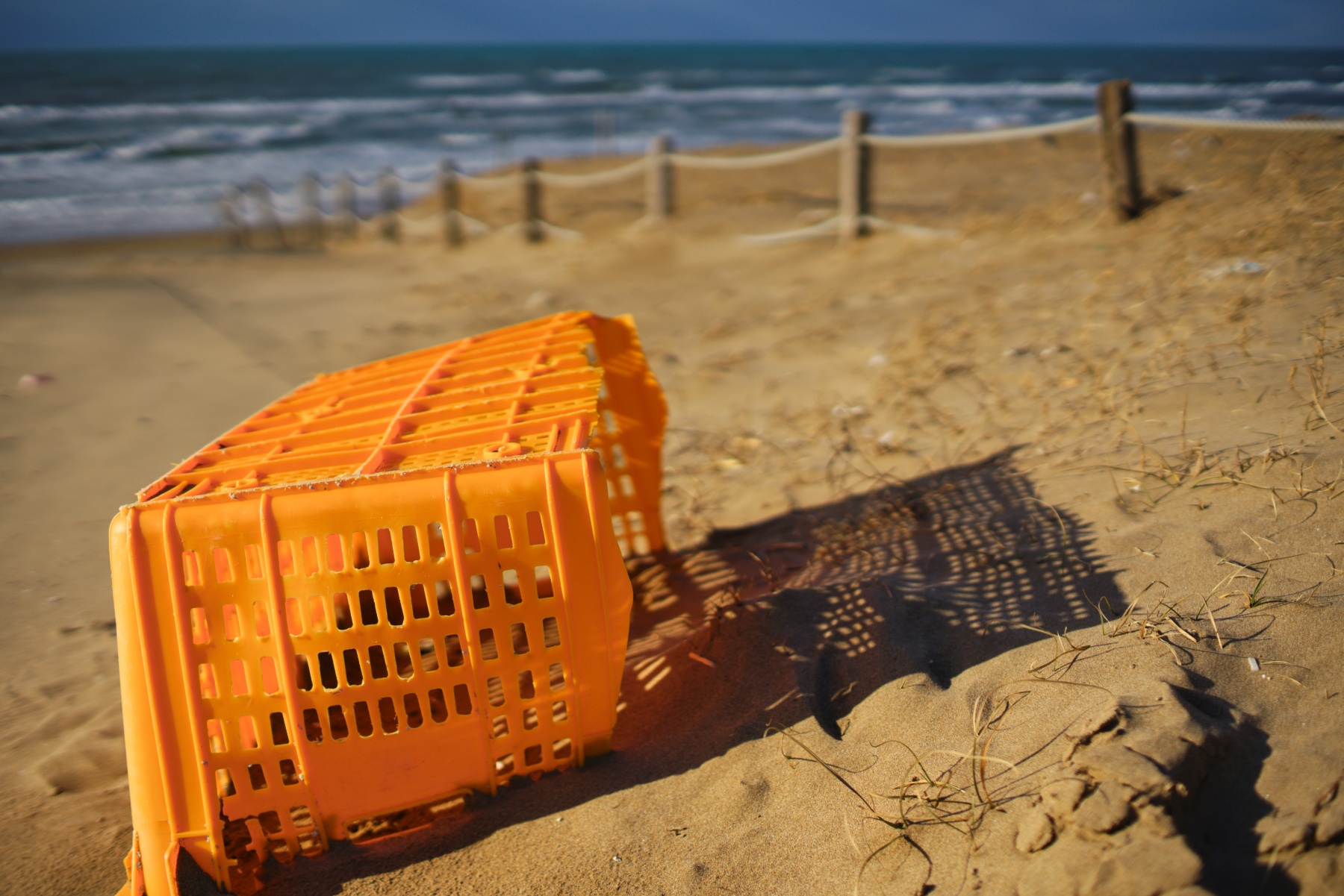 Carl Zeiss Distagon T* 1.4/35 AEGによる近接写真