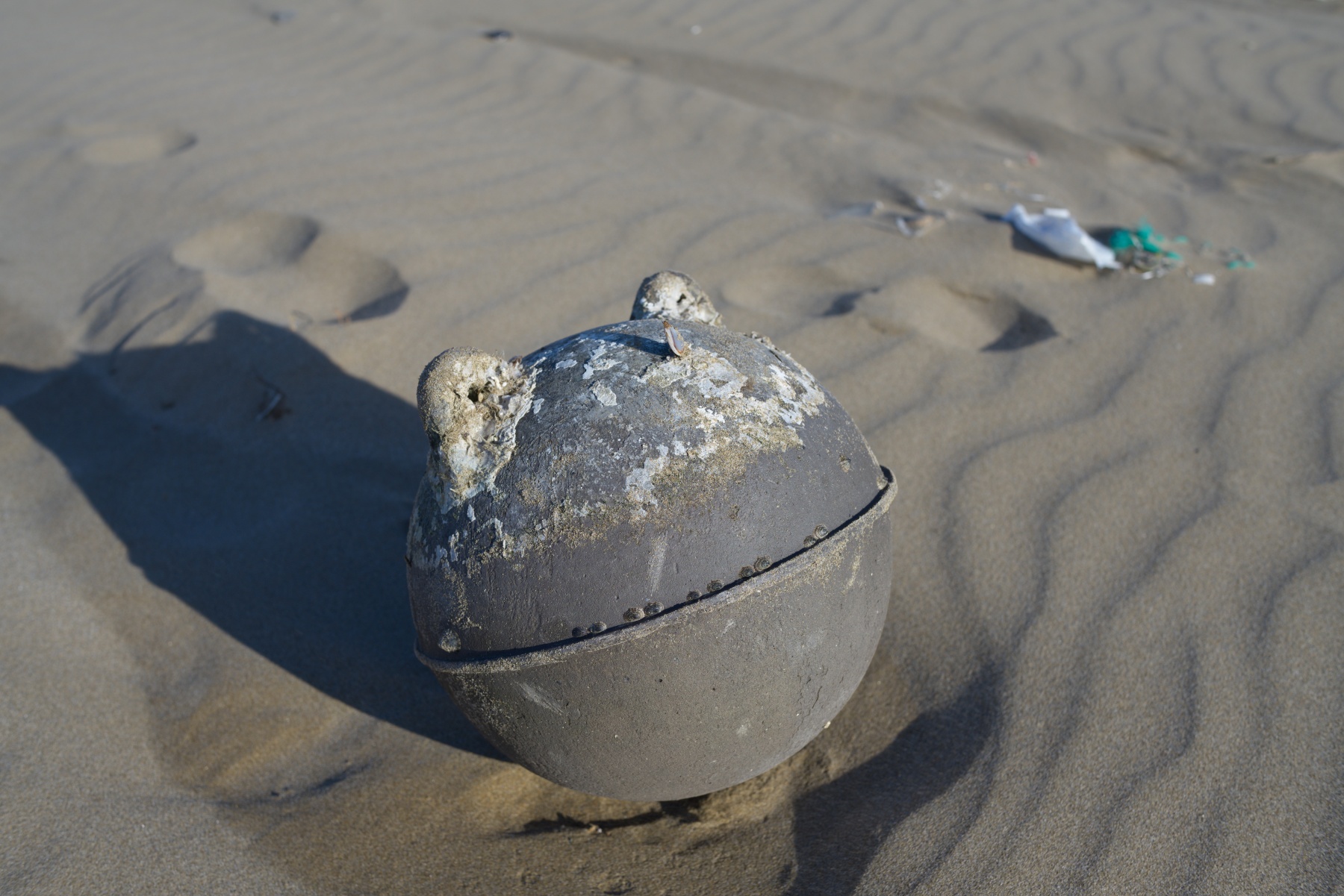 Carl Zeiss Distagon T* 1.4/35 AEGによる近接写真