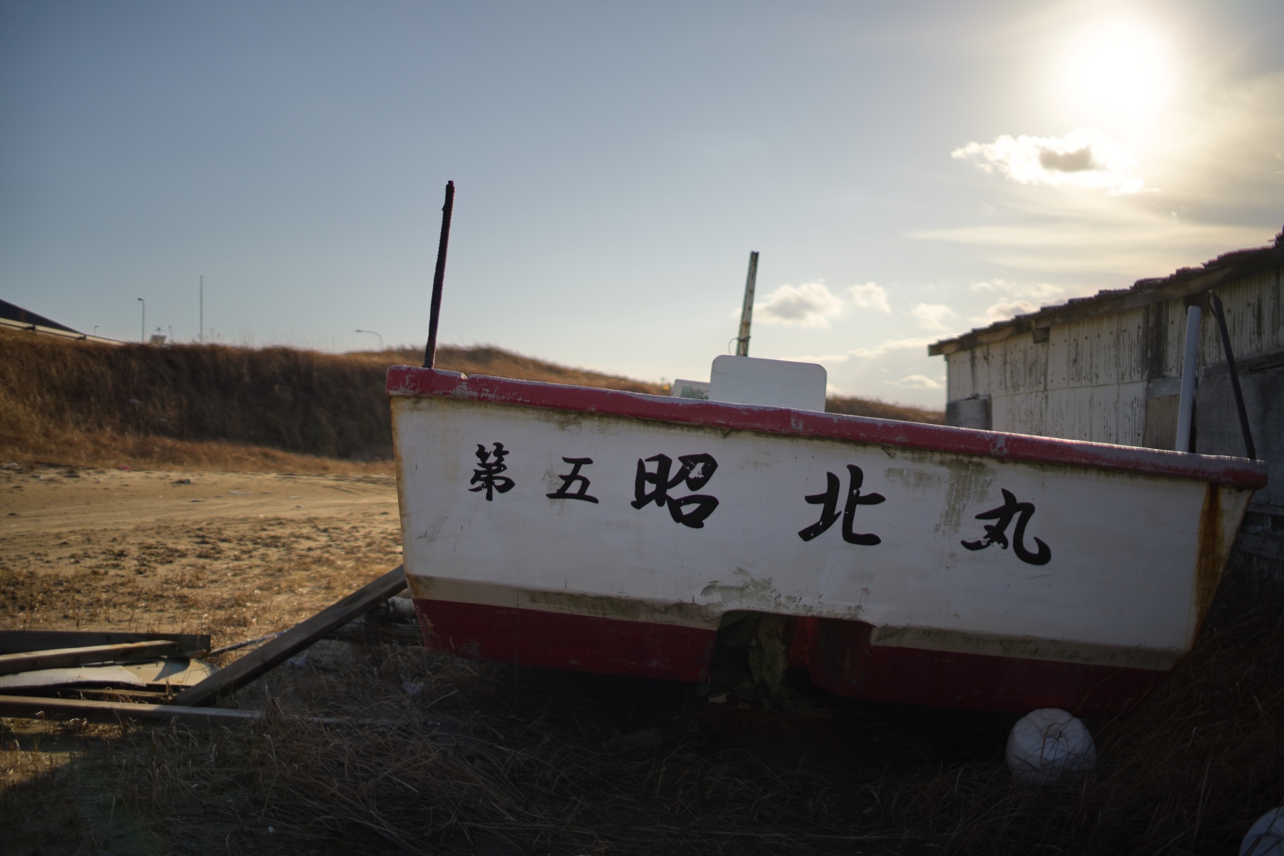 Carl Zeiss Distagon T* 1.4/35 AEGによる逆光写真