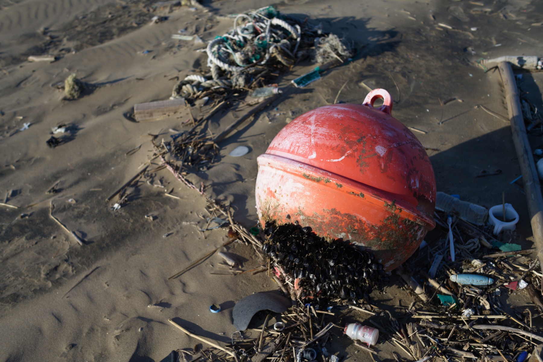 Carl Zeiss Distagon T* 1.4/35 AEGによる写真